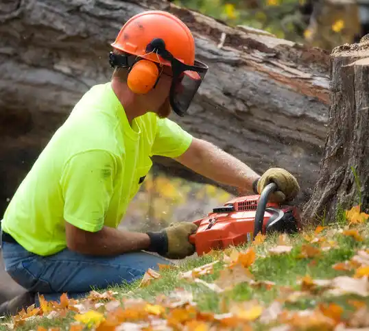 tree services Brainerd